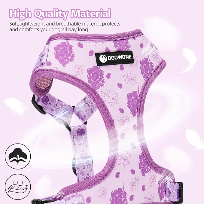 Dog Harness and Leash Set, Adjustable Dog Harness, Dog Leash, No Pull No Choke Puppy Harnesses for Walking Training for Small Medium Pet (Wines, S(Chest 13-19", Neck 9.5-13.1"))