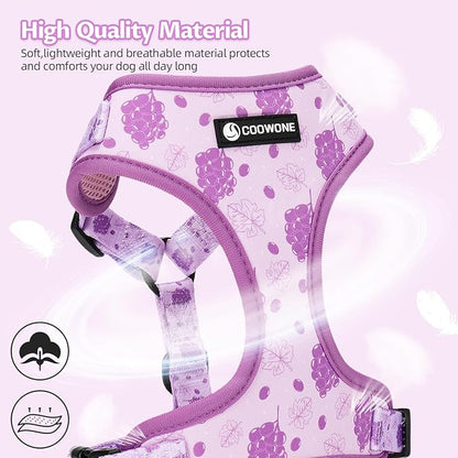 Dog Harness and Leash Set, Adjustable Dog Harness, Dog Leash, No Pull No Choke Puppy Harnesses for Walking Training for Small Medium Pet (Wines, S(Chest 13-19", Neck 9.5-13.1"))