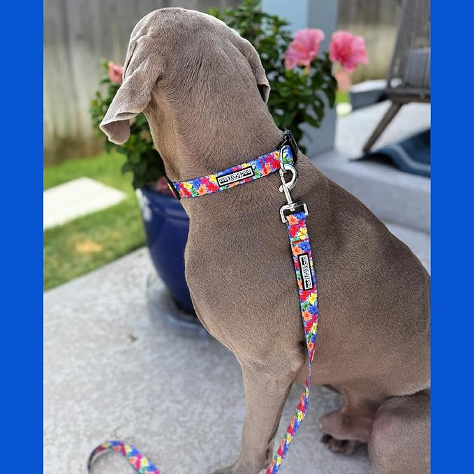 Lucky Love Dog - Adjustable Dog Collar with Easy Click Buckle for Medium, Durable, & Comfortable for Male & Female Dogs, Pet Collar for Puppies & Adult Dogs - Hana, Medium