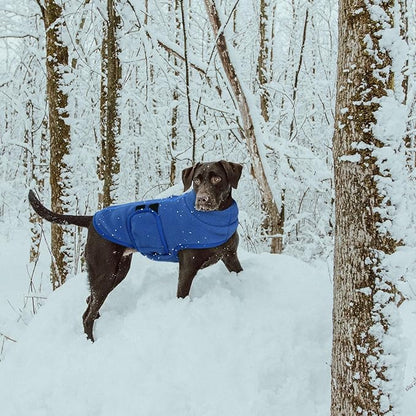 Queenmore Medium Dog Sweater, Soft Fleece Vest Pullover Dog Jacket with Leash Hole, Warm Winter Dog Clothes Cold Weather Doggy Dachshund Sweaters for Medium Dogs Cats Boy or Girl (Blue,M)