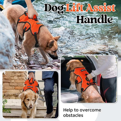 rabbitgoo Escape Proof Dog Harness, Soft Padded Full Body Pet Harness, Reflective Adjustable No Pull Vest with Lift Handle and Leash Clip for Large Dogs Walking Hiking Training, L, Orange