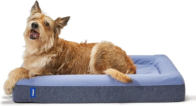 Casper Dog Bed, Plush Memory Foam, Small, Blue