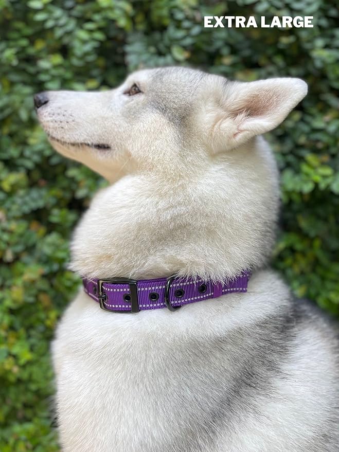 Heavy Duty Dog Collar with Handle | Ballistic Nylon Heavy Duty Collar | Padded Reflective Dog Collar with Adjustable Stainless Steel Hardware | Convenient Sizing for All Breeds X-Large (19-23" Neck)