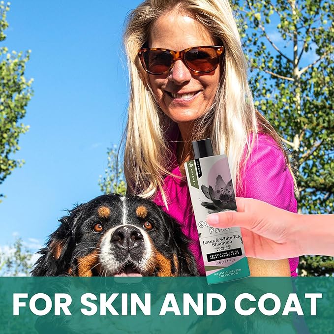 Gou Gou Pets Holistic Natural Derived Lotus and White Tea Pet Shampoo: Veterinarian Recommended - Remove Dirt, Cleanse and Restore Your Dog, Cat or Horse Coat - Made in USA - 16 oz
