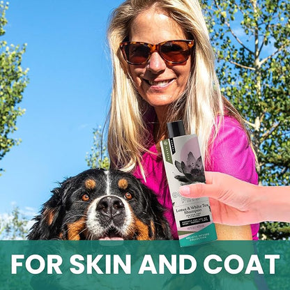Gou Gou Pets Holistic Natural Derived Lotus and White Tea Pet Shampoo: Veterinarian Recommended - Remove Dirt, Cleanse and Restore Your Dog, Cat or Horse Coat - Made in USA - 16 oz