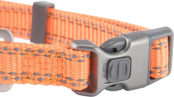 Browning Classic Preformance Webbing Pet Collar, Fully Adjustable, Available in Solid Colors and Camo Patterns, Safety Orange, Medium