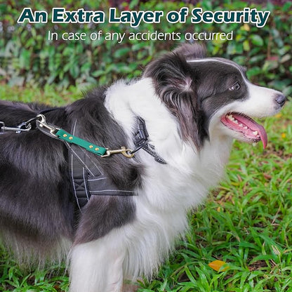PetBonus Dog Collar Safety Clip, Waterproof Backup Safety Strap for Dog Harness to Prong Collar, Odor Proof Double Ended Clasp Leash Connector for Training Walking (Green)