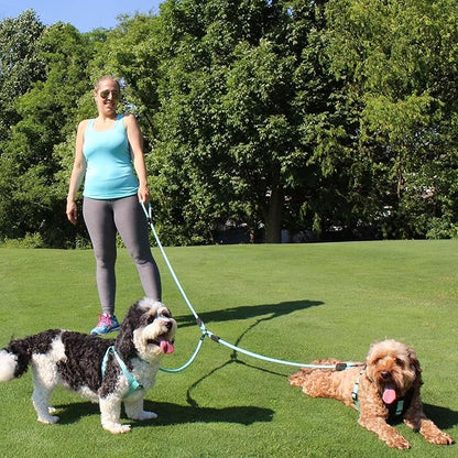 Pawtitas Double Leash for Two Dogs Great for Walking & Training Comfortable Shock Absorbing Reflective Pet Rope Leash for 2 Dogs 6ft - Medium/Large - Orange