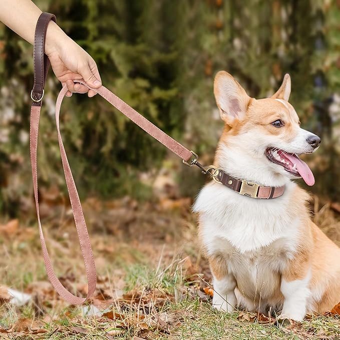 Didog PU Leather Dog Leash for Small Dogs 4.5ft, Soft Padded Handle Faux Leather Dog Leashes for Medium Dogs, Walking and Training Leashes for Large Dogs,Pink