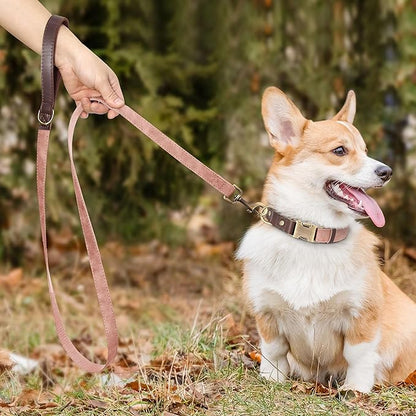 Didog PU Leather Dog Leash for Small Dogs 4.5ft, Soft Padded Handle Faux Leather Dog Leashes for Medium Dogs, Walking and Training Leashes for Large Dogs,Pink