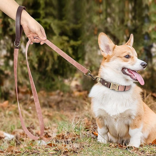 Didog PU Leather Dog Leash for Small Dogs 4.5ft, Soft Padded Handle Faux Leather Dog Leashes for Medium Dogs, Walking and Training Leashes for Large Dogs,Pink