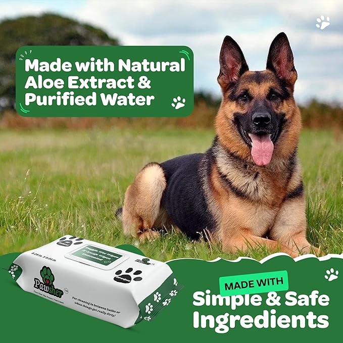 Unscented Dog Wipes for Cleaning & Deodorizing - XL, Thick & Hypoallergenic Pet Wipes for Dogs Paws, Butt and Body - Made with Naturally Safe Ingredients Like Aloe Vera (160 Count)
