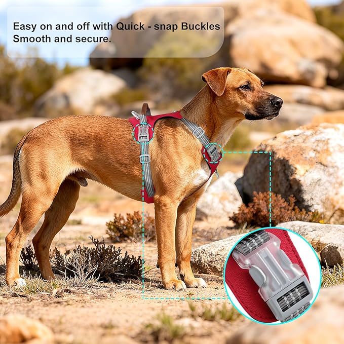 ApakBak No Pull Dog Harness – Adjustable Reflective Nylon Vest for Small Medium Large Dogs, Escape Proof Training Harness with Leather Control Handle, Lightweight Aluminum Hardware (Red, XL)