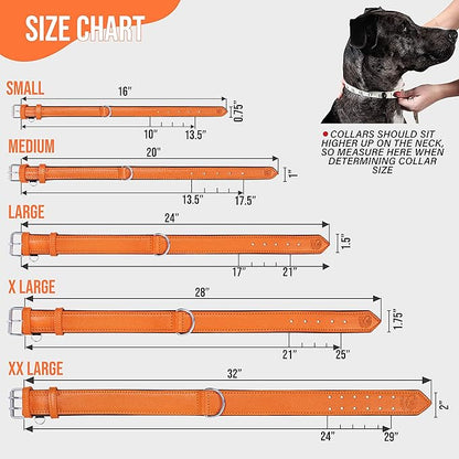 Riparo Orange Leather Dog Collar - Heavy Duty Wide Dog Collar for Small, Medium, Large and Extra Large Dogs with Dog Tag Holder (M: 1" Wide for 13.5”-17.5” Neck, Orange)