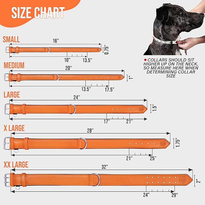 Riparo Leather Dog Collar, Large Dog Collar, Padded Heavy Duty Dog Collar with Dog Tag Holder, Orange Dog Collar (XL, Orange)
