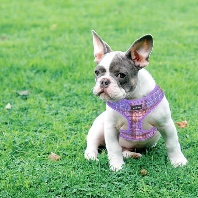 SCENEREAL Puppy Dog Harness with Leash Set for Small Medium Sized Dogs, Soft Mesh Step in Pet Harnesses and Leash, No Chock Plaid Adjustable No Pull Vest for Dogs Cats, Chihuahua,Bulldog (Purple M)