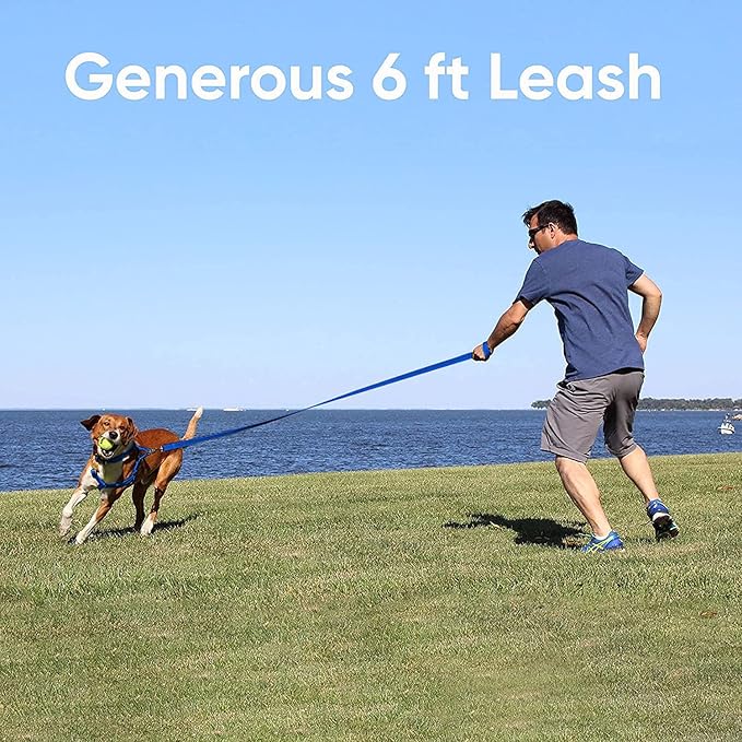 Pawtitas Coral Dog Leash 6 ft M/L Reflective Durable Lightweight Recycled Lead for Medium or Large Dogs and Puppies