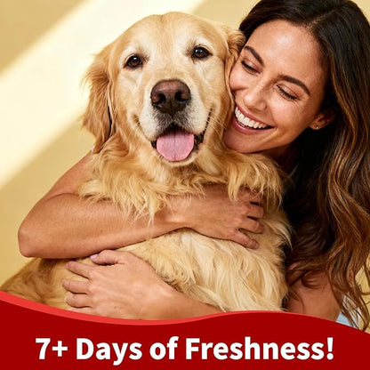 Arf Arf Silky Dog Shampoo for Dry, Itchy, Sensitive Skin - Soothing Oatmeal & Honey Formula for a Salon-Quality Smooth Coat - Gentle Puppy & Dog Wash for All Breeds - Fresh Scent, 16oz