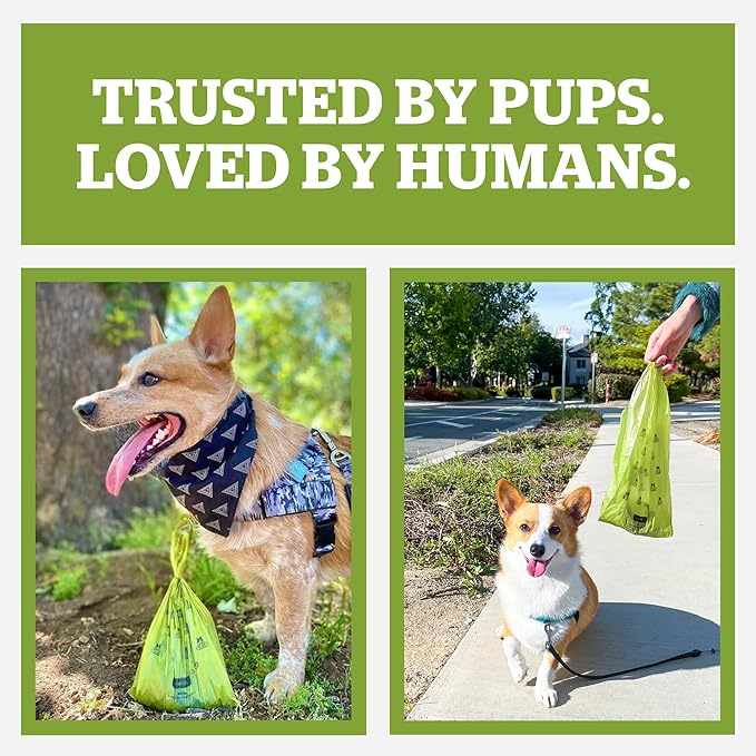 Pogi's 300 Unscented Dog Poop Bags with Handles - Earth-Friendly, Leak-Proof, Ultra Thick, 4+ Month Supply