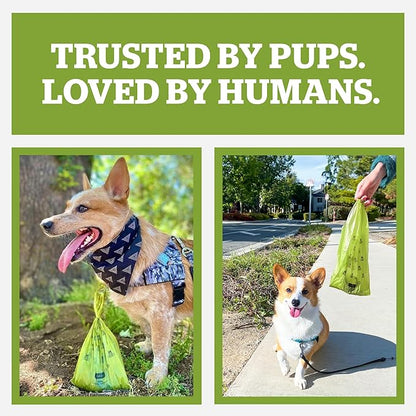 Pogi's 300 Unscented Dog Poop Bags with Handles - Earth-Friendly, Leak-Proof, Ultra Thick, 4+ Month Supply