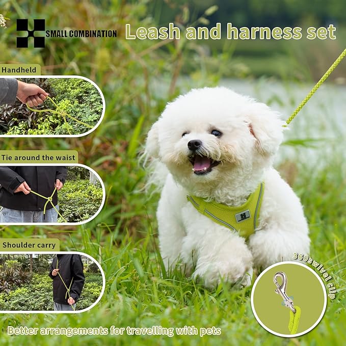 Adjustable Dog Harness with Leash, Reflective Mesh, No-Pull Design，Matching Lead Rope (Lemon Yellow, XXXS)