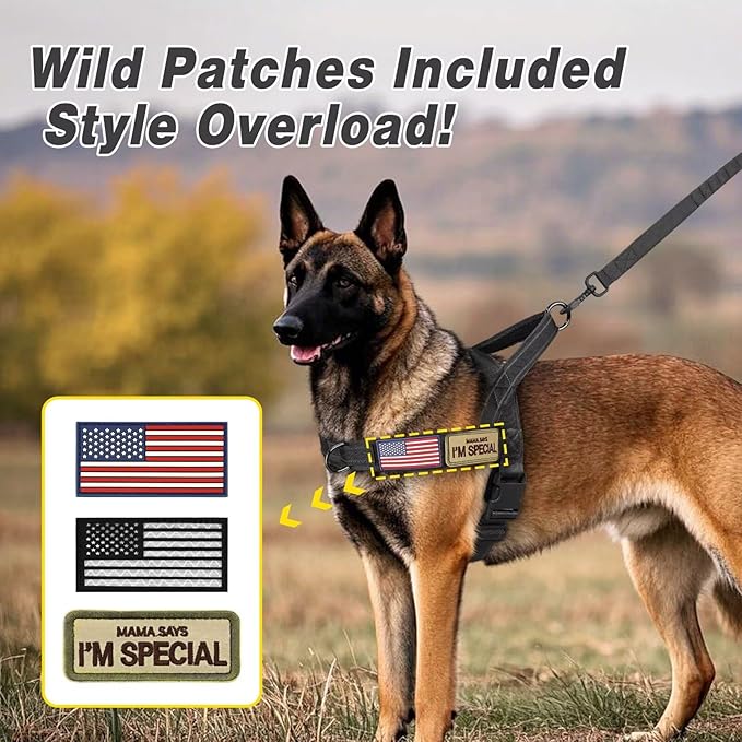 Forestpaw No Pull Dog Harness with Large Handle,Slip on Reflective Vest with Quick Release Buckle,Comfortable Flannel Lining for Medium Large Dogs Walking Training (Includes 3 Patches),Black L