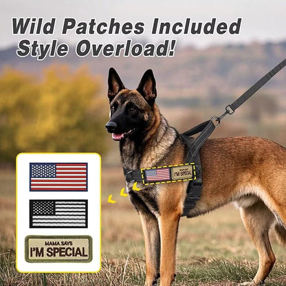 Forestpaw No Pull Dog Harness with Large Handle,Slip on Reflective Vest with Quick Release Buckle,Comfortable Flannel Lining for Medium Large Dogs Walking Training (Includes 3 Patches),Black L