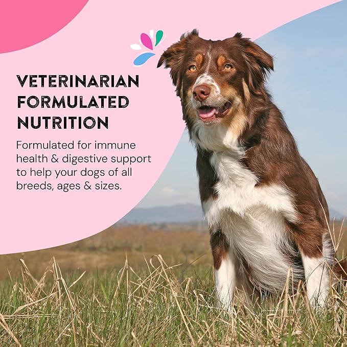 Hip & Joint Supplements for Dogs | Helps Joint Health & Mobility Support for Recovering and Senior Dogs | Natural Ingredients, Tasty Kibble Dog Food Topper | 60-Count Pack