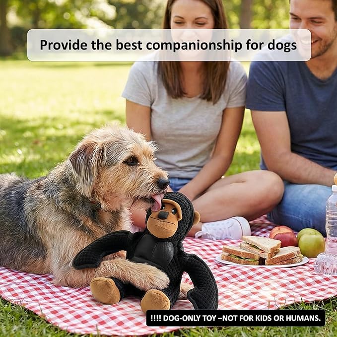 Plush Stuffed Squeaky Dog Toys, Dog Toy Medium、Large Breed, Dog Chew Toys for Non-Aggressive Dogs,Chew Dog Toys to Keep Them Busy,Solomon，11" x 11" Gorilla