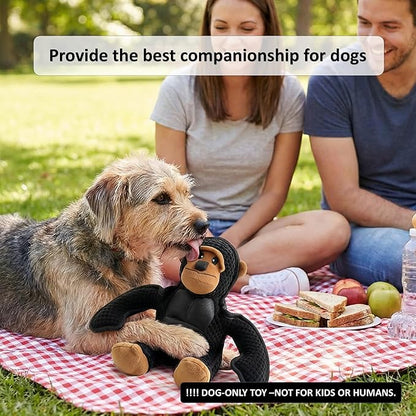 Plush Stuffed Squeaky Dog Toys, Dog Toy Medium、Large Breed, Dog Chew Toys for Non-Aggressive Dogs,Chew Dog Toys to Keep Them Busy,Solomon，11" x 11" Gorilla