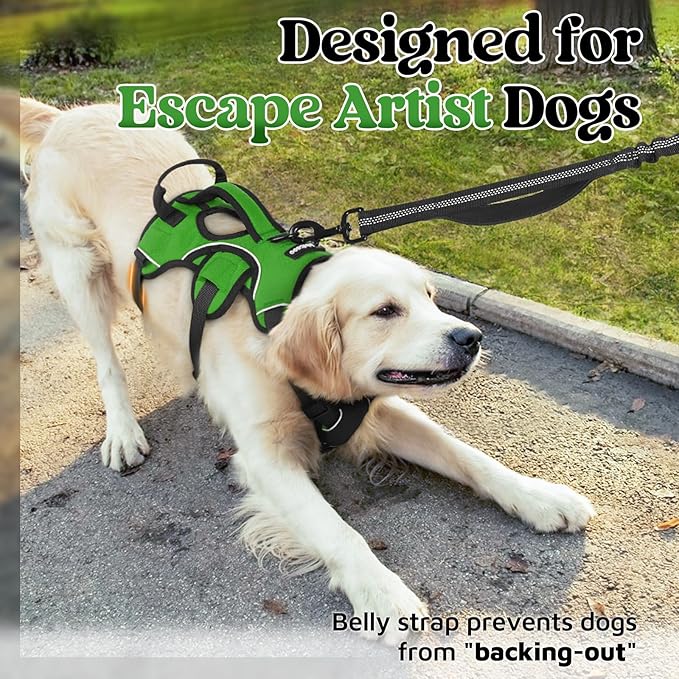 rabbitgoo Escape Proof Dog Harness, Soft Padded Full Body Pet Harness, Reflective Adjustable No Pull Vest with Lift Handle and Lesh Clip for Large Dogs Walking Hiking Training, XL, Green