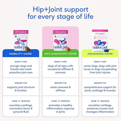 Native Pet Pain Relief for Dogs - Collagen for Dogs Promotes Joint Health, Reduce Inflammation & Stiffness - Senior Pup Joint Supplement - Natural Pain Reliever for Active & Aging Pets - 30 Chews