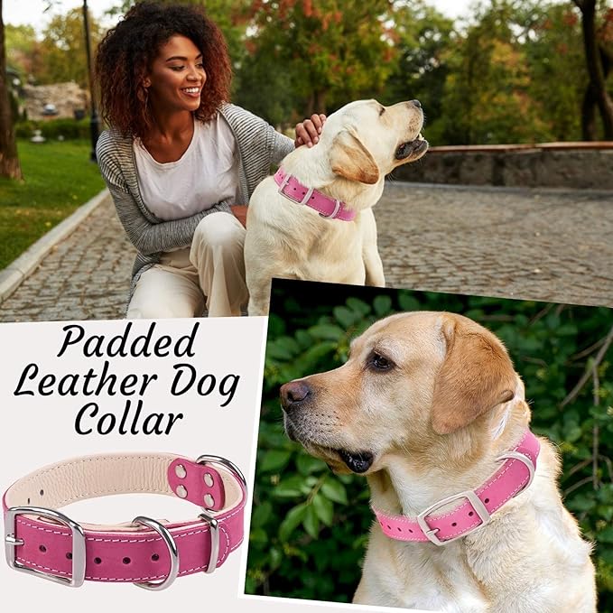 ADITYNA Heavy-Duty Pink Leather Dog Collar for Medium Dogs - Lined with Soft Leather - Girl Dog Collar for Walking, Training, and Hiking
