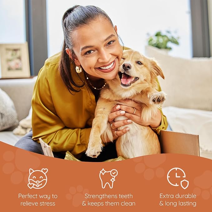 Wildfang® Briar Wood Chewing Root, Medium - Splinter Free Wood Dog Chew Toys for Aggressive Chewer, Odorless Natural Teething Toys Dogs Dental Health, Healthy Gums (for Dogs 33-55 lbs), Pack of 3