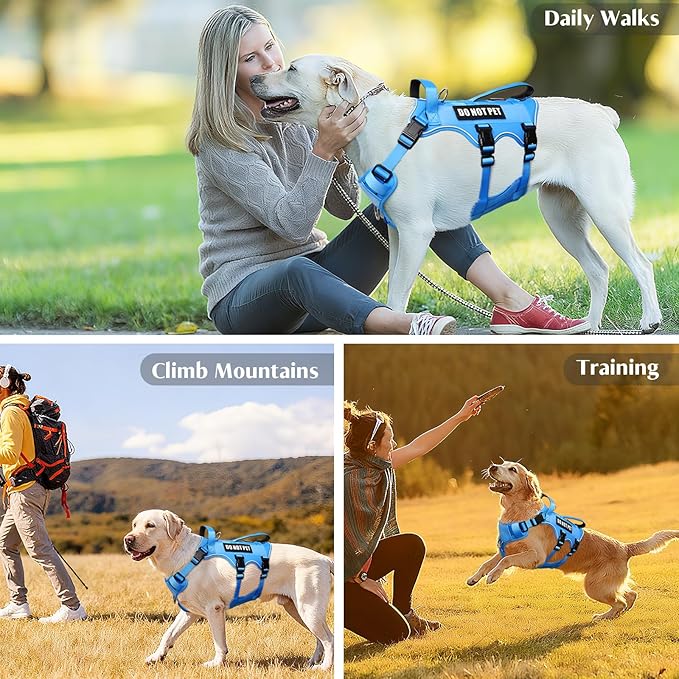 WINSEE Escape Proof Dog Harness, Service Working Molle Harness with Double Handle, Tactical Pet Vest with 4 Patches for Small Medium Large Dogs Walking Hiking Hunting