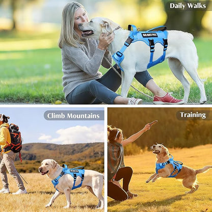 WINSEE Escape Proof Dog Harness, Service Working Molle Harness with Double Handle, Tactical Pet Vest with 4 Patches for Small Medium Large Dogs Walking Hiking Hunting