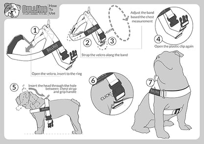 BULLHUG Adjustable Dog Harness– No Pull, No Choke – for English Bulldogs, French Bulldogs, Pugs & Broad-Chested Breeds – Easy, Safe Walks (NEON Green, Medium)