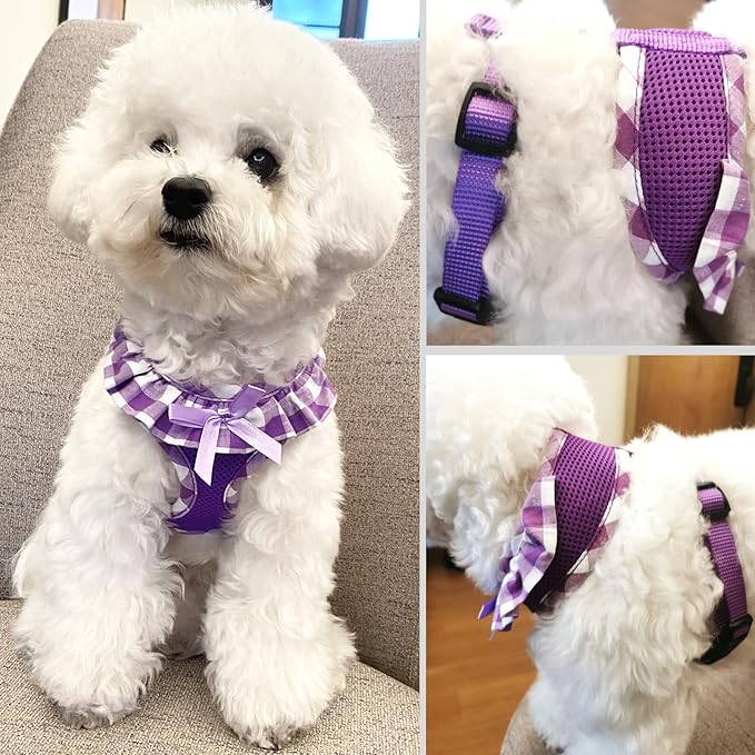 SuperBuddy Upgraded Soft Mesh Dog Harness, Super Breathable Lightweight Pet Harnesses for Puppy Dogs Outdoor Walking, Purple Dog Harness and Dog Leash Set Packing -Large