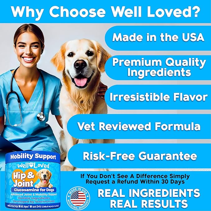 Well Loved Glucosamine for Dogs - Joint Supplement for Dogs, Made in USA, Vet Developed, Glucosamine Chondroitin, Hip and Joint Chews with MSM, Large Breed, Pain Relief, 120 Chews