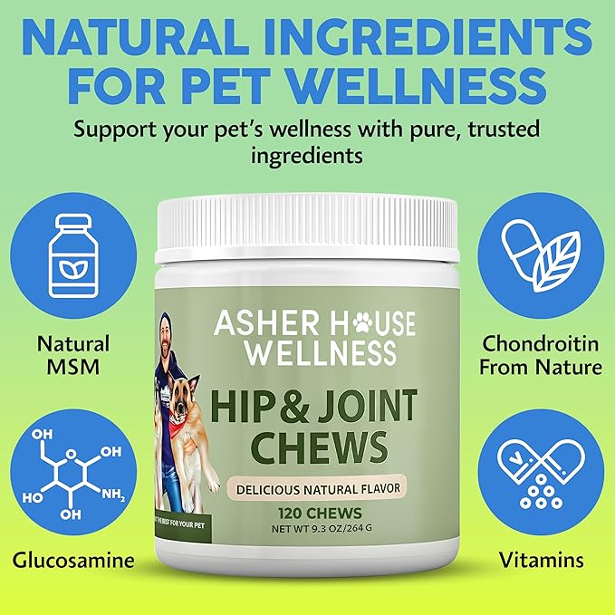 Asher House Wellness Hip and Joint Supplement for Dogs - Natural Soft Chew with MSM, Chondroitin, Glucosamine, Vitamins - Promotes Joint Health & Pain Relief Senior & All Dog Breeds, Large, 120 Chews