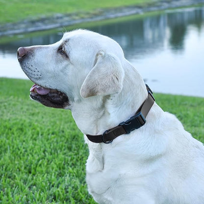 Dogline Biothane Waterproof Dog Collar with Quick Release Buckle Strong Coated Nylon Webbing with Odor- Proof for Easy Care Easy to Clean Fits Small Medium or Large Dogs, Black 1" W 15-23" L