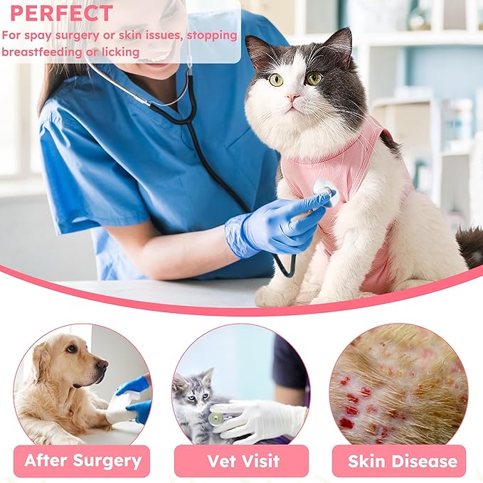 Hpetppy Cat Recovery Suit for Spay Abdominal Wounds, Kitten Onesie Bodysuit for Cats After Surgery, Cat Surgery Recovery Suit Female Cone of Shame Alternative for Cats Anti Licking (Pink,M)