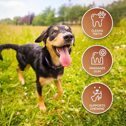 Wildfang® Leather Dog Toy, Small – Soft Dog Chew Toys for Gentle Chewers, Puppies, Senior or Older Dogs w/Sensitive Teeth – Non-Toxic, Stuffless, 5mm Leather Dog Bone for Dogs Up to 22 lbs, Pack of 1