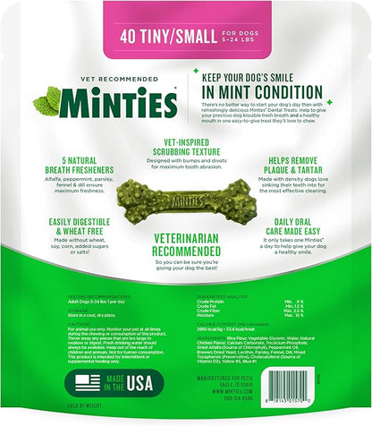 Minties Dog Dental Bone Treats, Mint, Tiny/Small, 16 oz