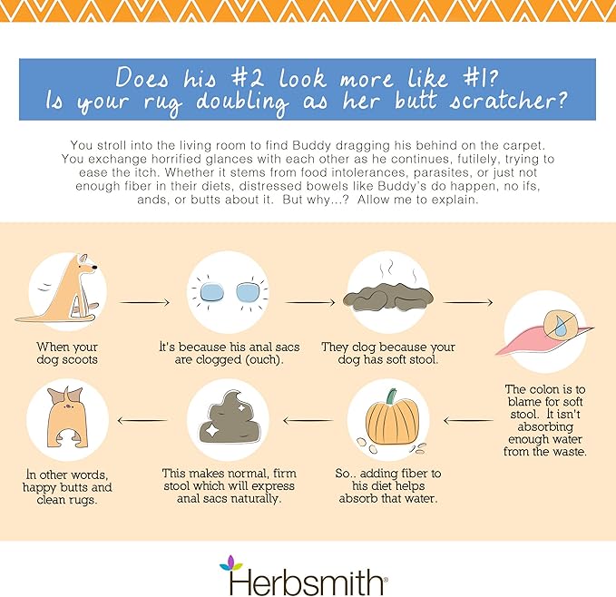 Herbsmith Scooter’s Butt Bars - Anal Gland and Bowel Support with Pumpkin Fiber for Dogs- Digestive Aid for Dogs - Dog Fiber Bars - Large Bar, Large Bar (for Dogs Over 30lbs)