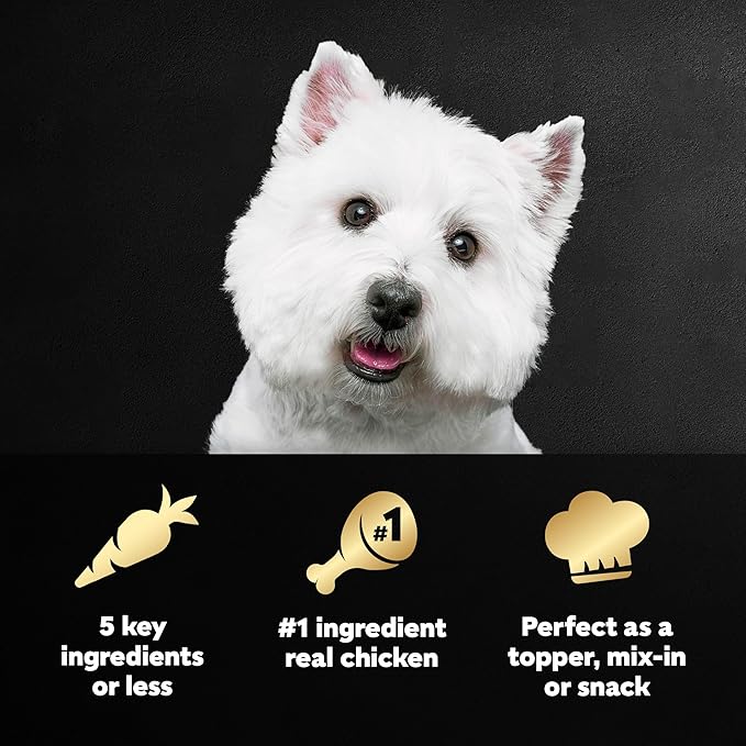 Cesar Simply Crafted Adult Wet Dog Food Toppers for Dry Food, Chicken, 1.3 oz Tubs, 10 Count