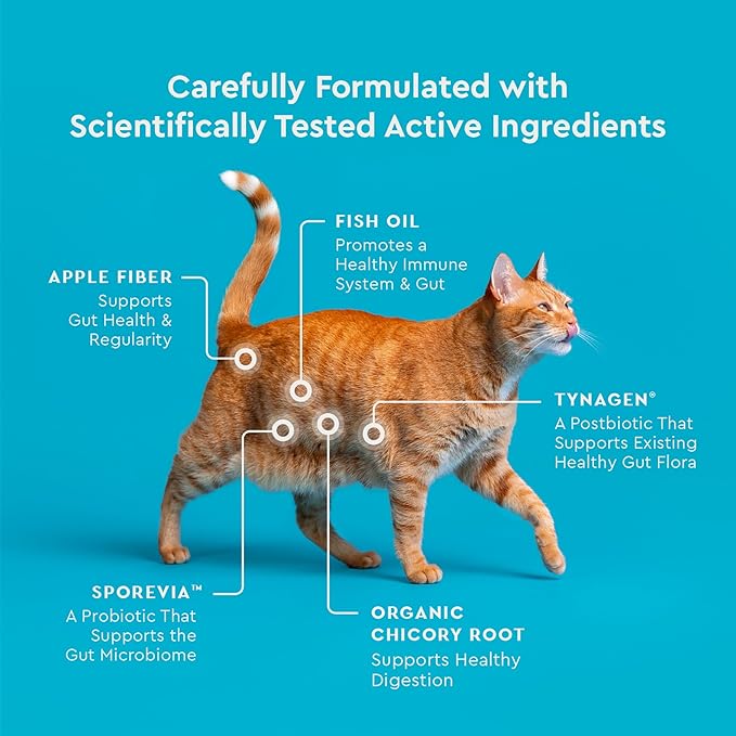VetIQ Cat Probiotics Supplement – Probiotic, Prebiotic & Postbiotic for Cats, Digestive & Gut Health Support, Constipation & Diarrhea Relief, Chicken Flavored, 3.7 oz