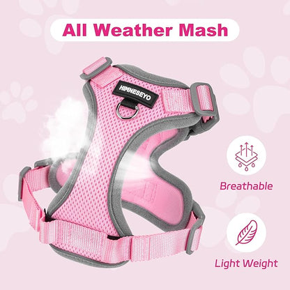 Small Dog Harness and Leash Set, No Pull Adjustable Pet Harness for Small Dogs, Breathable Mesh Rflective Dog Vest Harness (Pink, XXS)