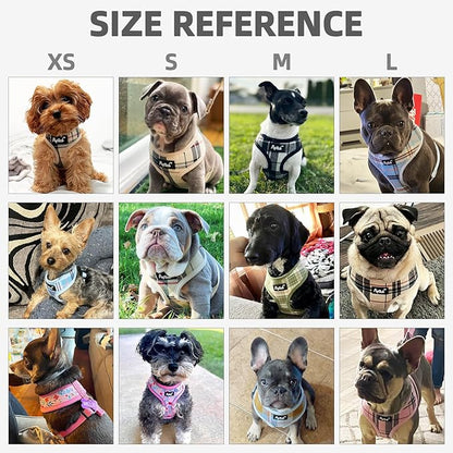 PUPTECK Soft Mesh Dog Harness and Leash Set Pet Puppy Cat Comfort Padded Vest No Pull Harnesses, Light Blue, S