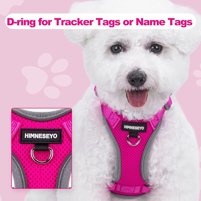 Small Dog Harness and Leash Set, No Pull Adjustable Pet Harness for Small Dogs, Breathable Mesh Rflective Dog Vest Harness (Rose Red, M)